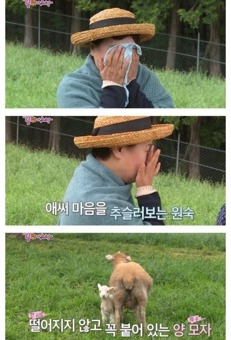 Screenshot_20231227_094725_KakaoTalk.jpg