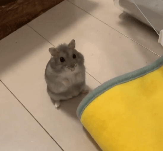 20240103015620140kwxe.gif