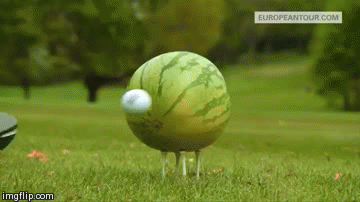 1000005276.gif