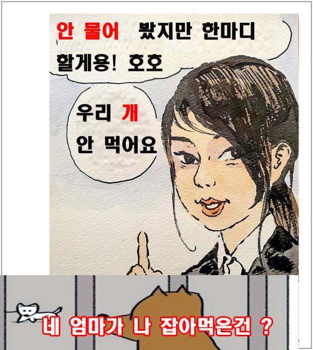 개 안먹는다는 거니.jpg