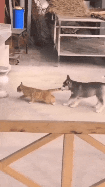 20240116_121554.gif