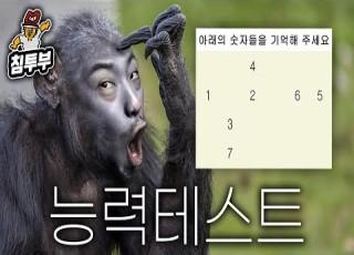 침펜맨.jpg