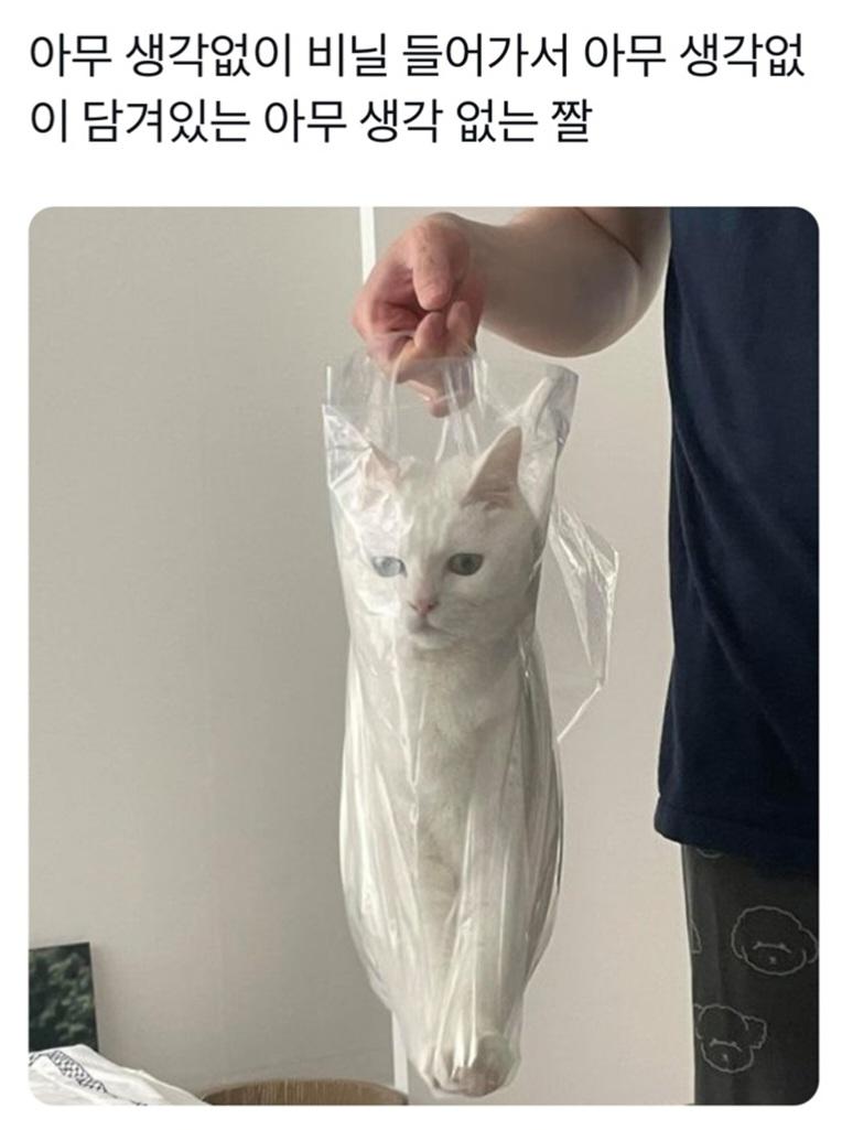 1000006394.jpg