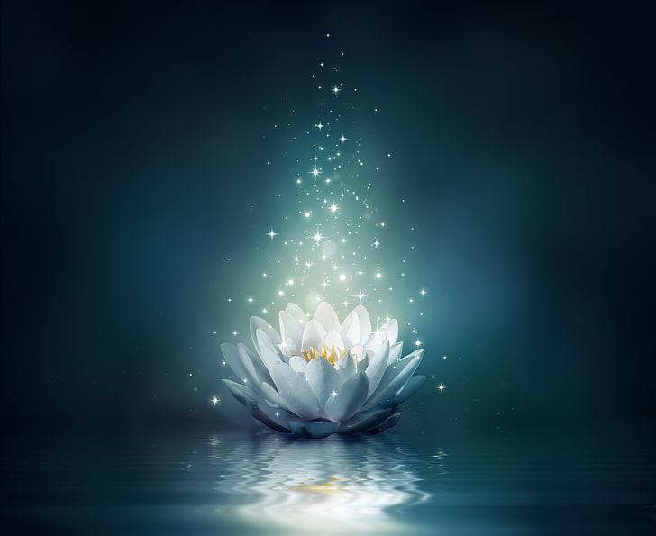 flower-water-lights-lotus-wallpaper-preview.jpg