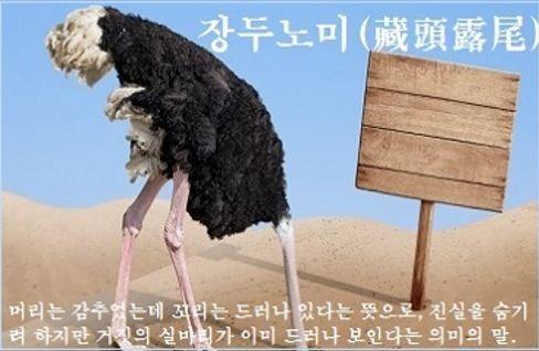 장두.JPG