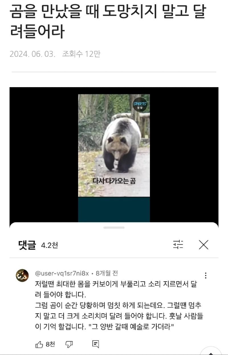 곰 대처방법.jpg