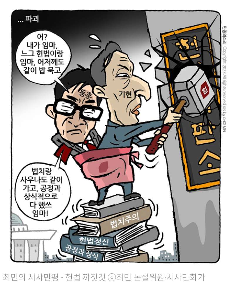 헌법법치 한동훈 만평.png