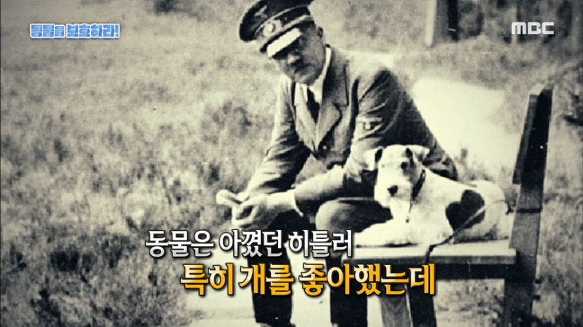 히틀러는 개를 좋아했다.jpg