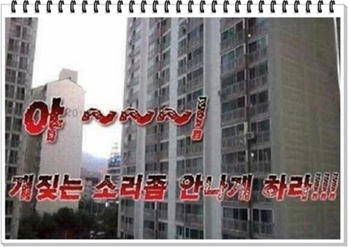 개짖는 소리좀 안나게 해라.jpg