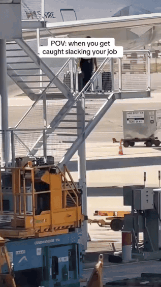 tweetsave-video.mov-ezgif.com-resize.gif