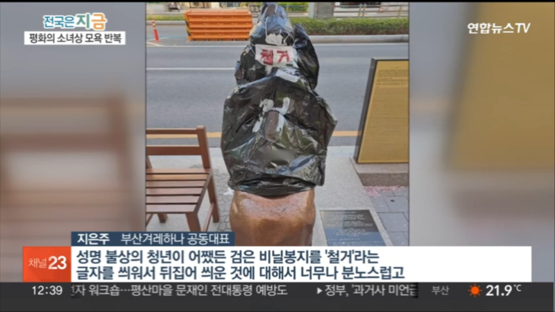 부산 평화의 소녀상, 잇단 수난…처벌도 쉽지 않아 _ 연합뉴스TV (YonhapnewsTV) (480p).mp4_000098264.png