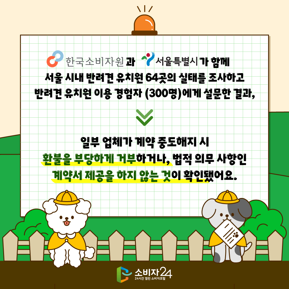 반려견유치원_피해예방정보2.png