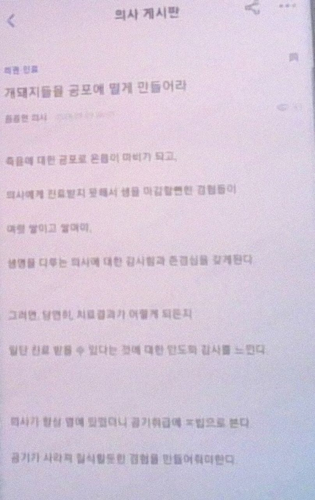 이미지_2024-09-10_223346718.png