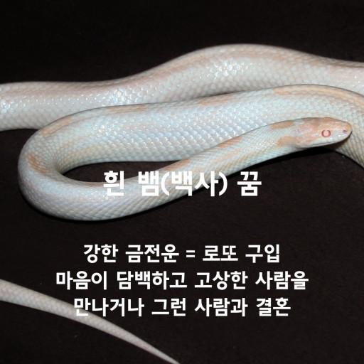 [유머] 꿈해봉.jpg