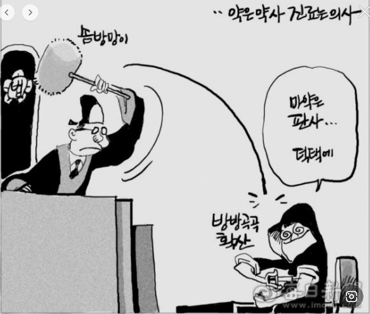 마약 판사 만평.jpg