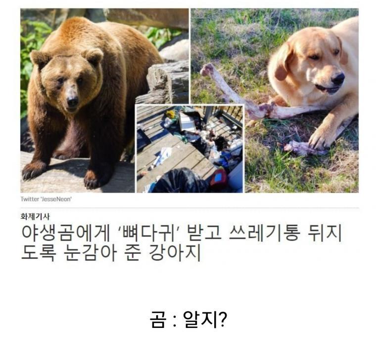 [유머]뇌물을 받아버린 개ㅅㄲ.jpg