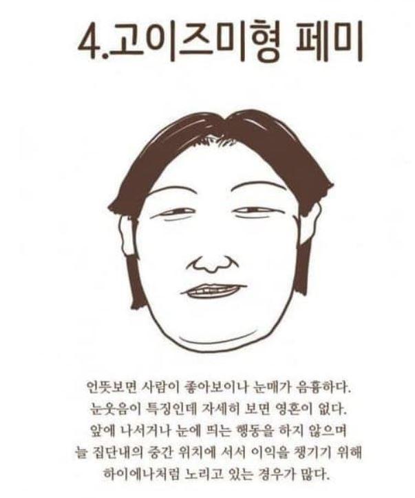 고이즈미형 페미.JPG