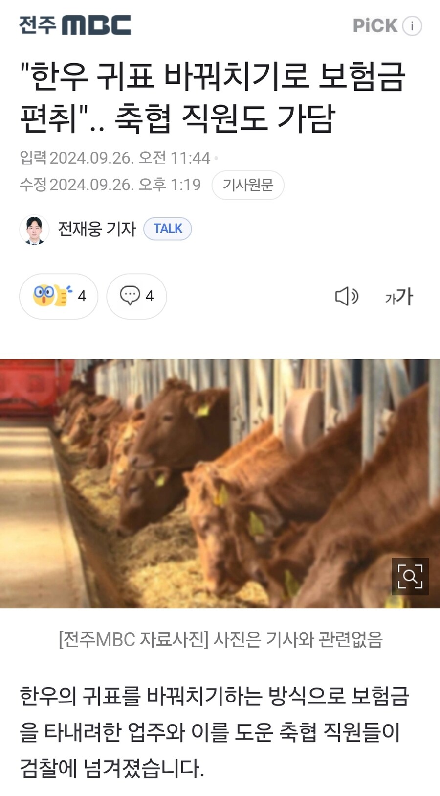 축협직원들, 한우 귀표 바꿔치기로 보험금 부당 수령.jpg