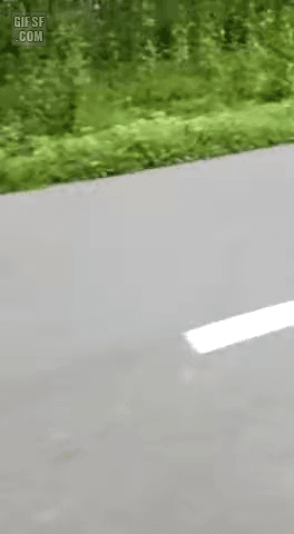 image_591690226_20241003_031752.gif