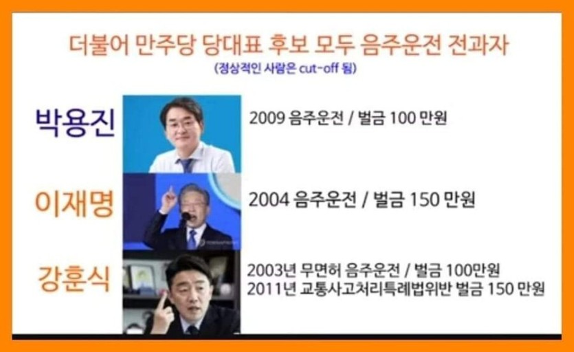 민주당 음주운전 전과자.jpg