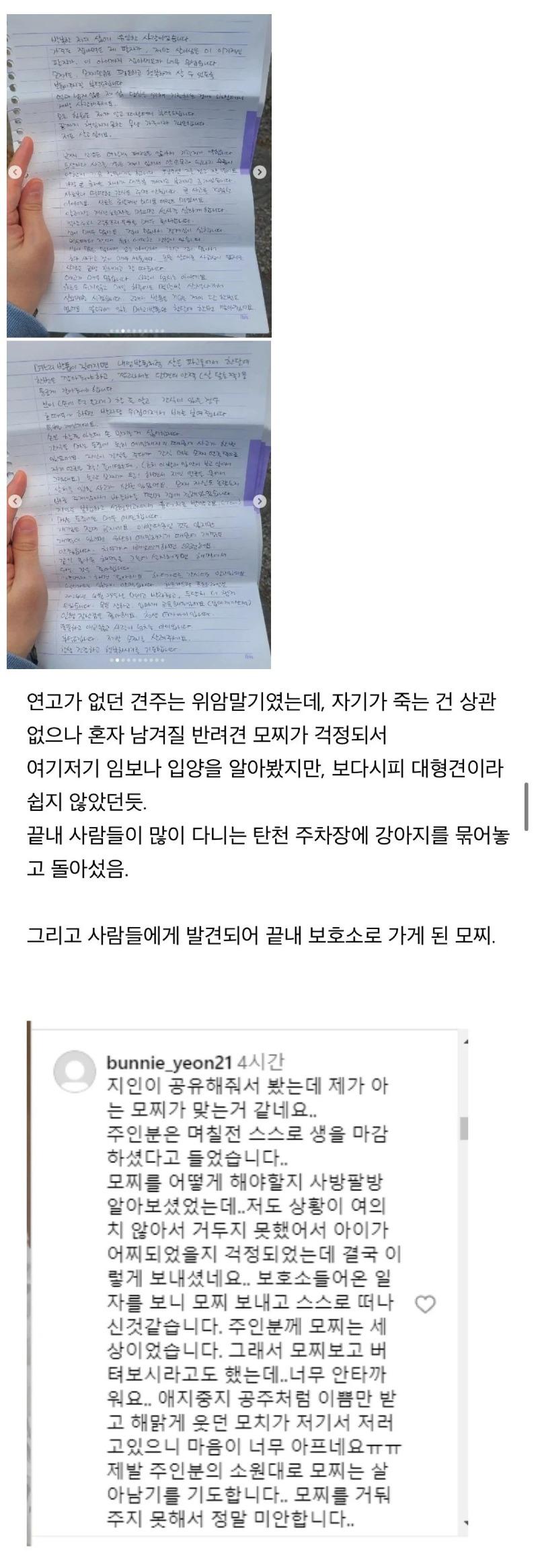 탄천 공영 주차장 유기견2.JPG