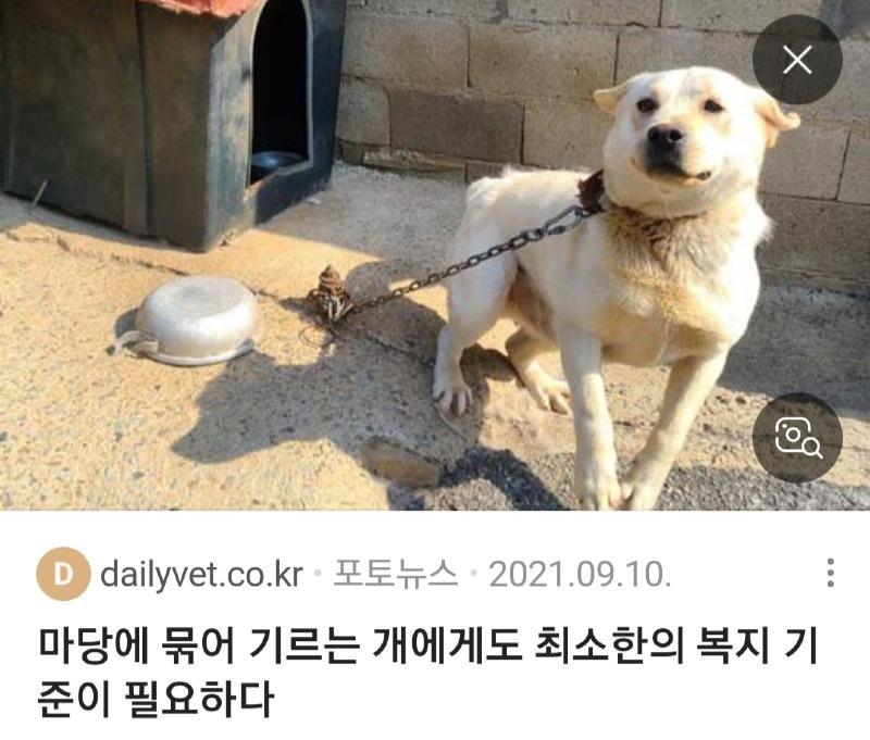 Screenshot_20241015-091126_NAVER.jpg