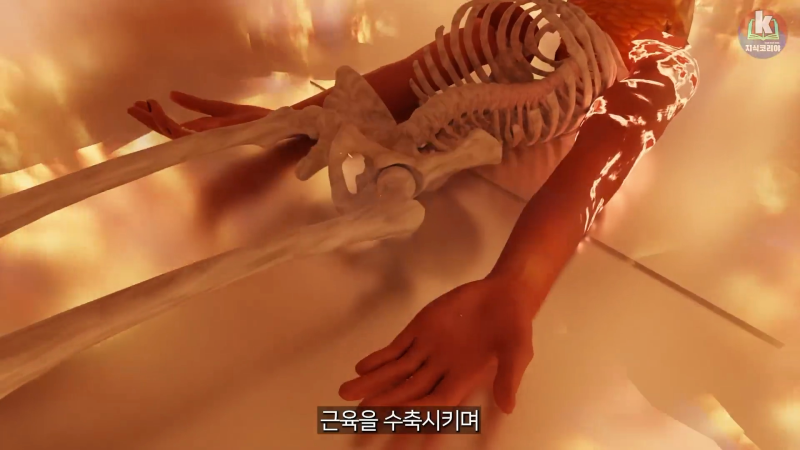 시체 화장 과정은 어떻게 될까....mp4_20241113_123730.844.png