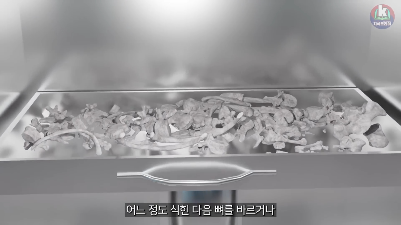 시체 화장 과정은 어떻게 될까....mp4_20241113_123839.836.png