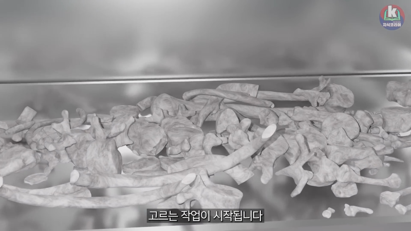 시체 화장 과정은 어떻게 될까....mp4_20241113_123845.042.png