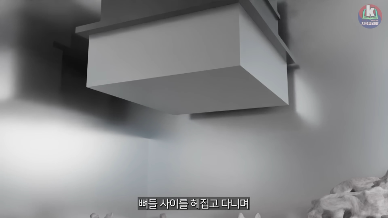 시체 화장 과정은 어떻게 될까....mp4_20241113_123909.549.png