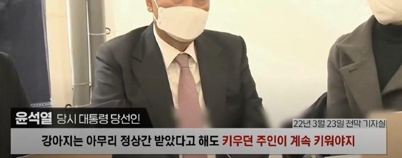 개2.jpg