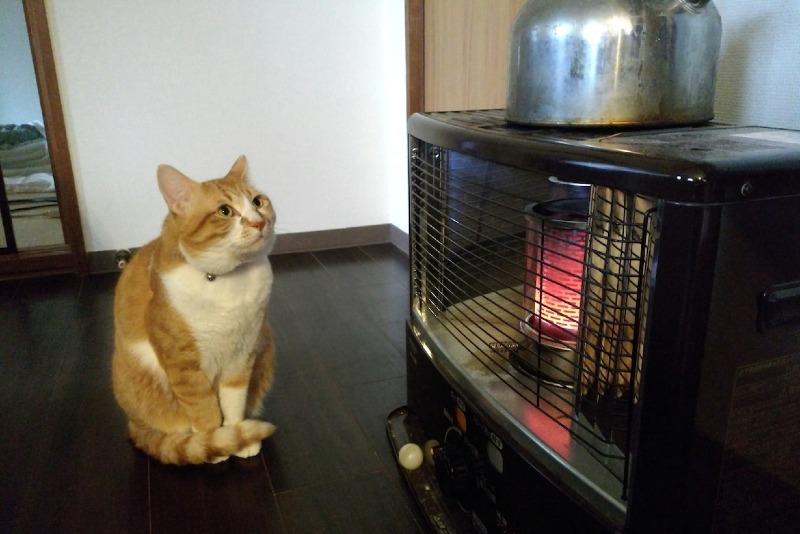 nekostove_10-min.jpg