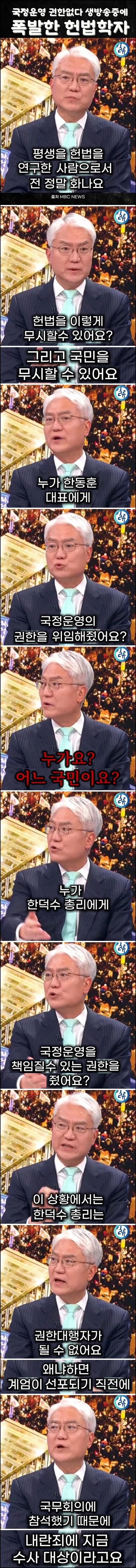 비상계엄 개빡친 헌법학자.jpg