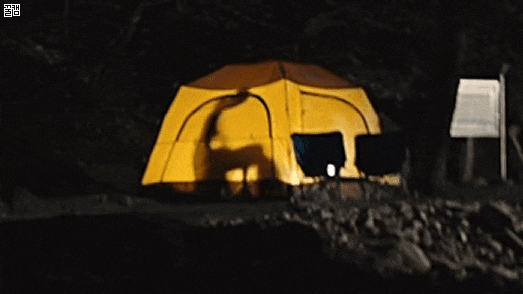 kiss1736999300_480482601.gif