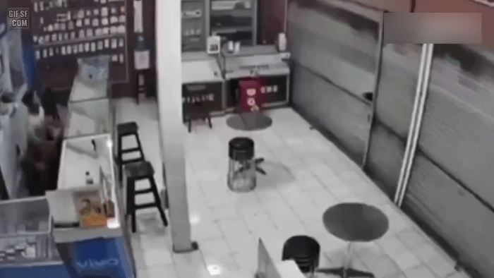 m_20250117011349_Qs3Vtgd3mI.gif