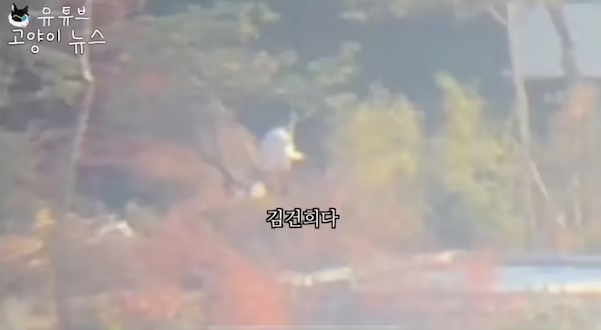 스크린샷(1102).png