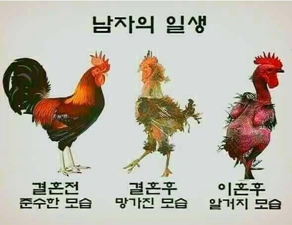 남자의 일생.JPG