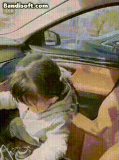 [유머] 조수석 우유통 민폐녀.gif