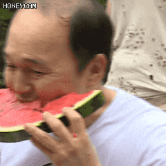 KakaoTalk_20191112_161618844_01.gif