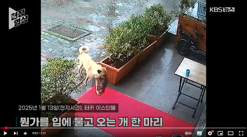 화면 캡처 2025-02-26 140444.png