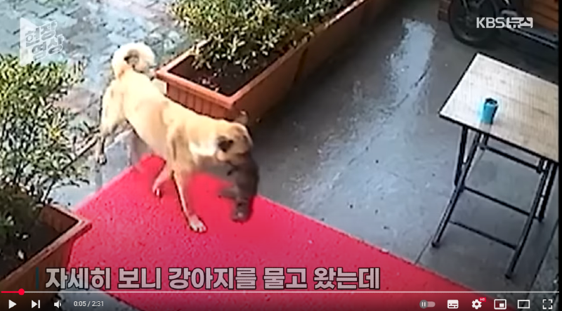 화면 캡처 2025-02-26 140522.png