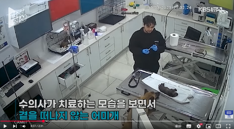 화면 캡처 2025-02-26 140650.png