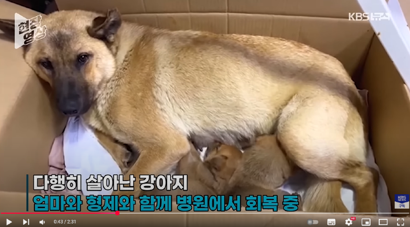 화면 캡처 2025-02-26 140724.png