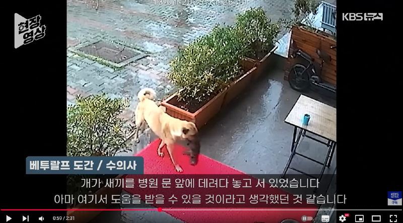 화면 캡처 2025-02-26 140816.png