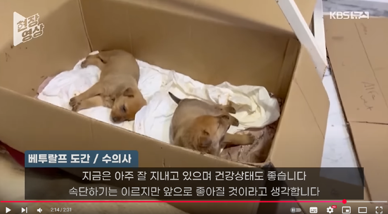 화면 캡처 2025-02-26 141013.png