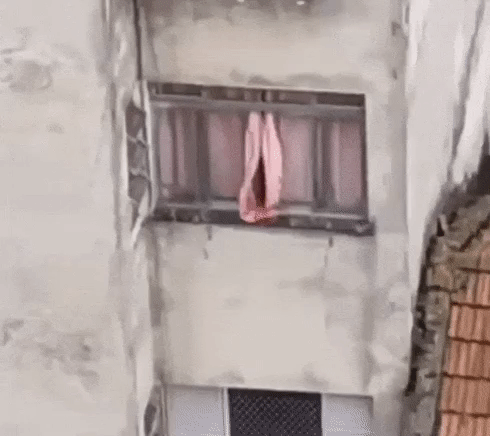 window.gif