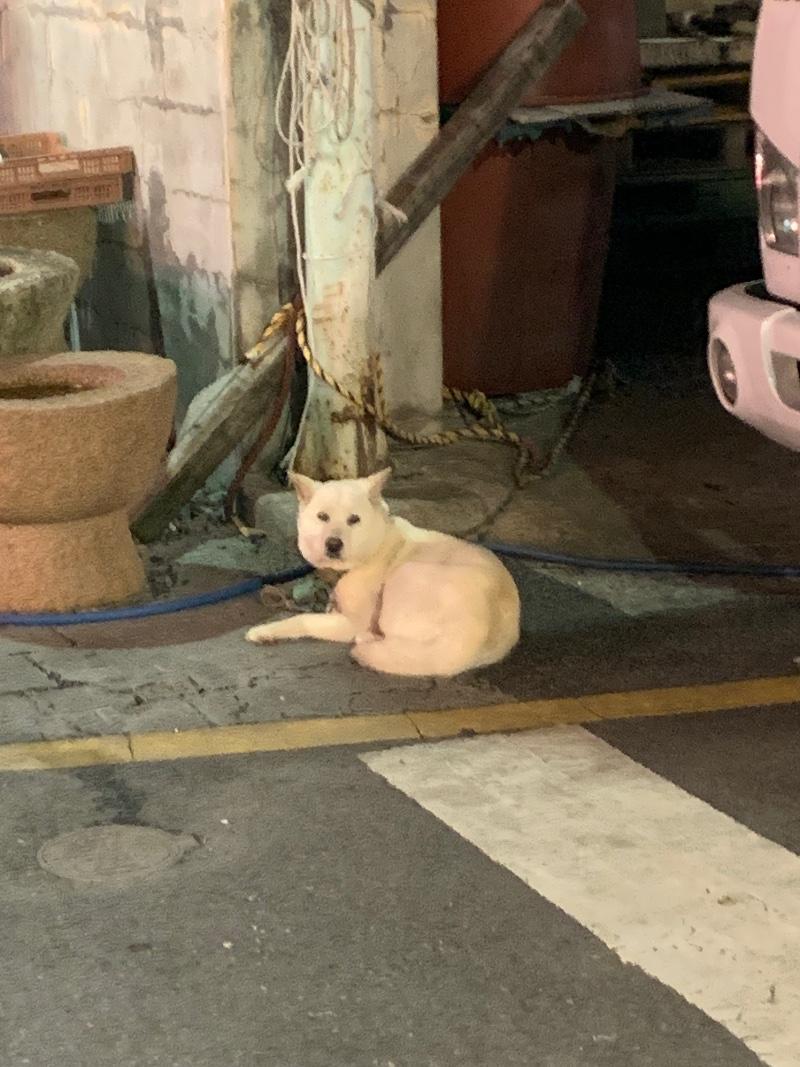 IMG_0327.jpeg