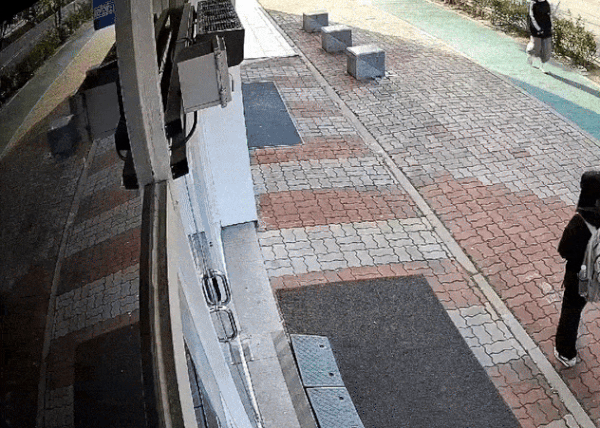 7198819_article.gif
