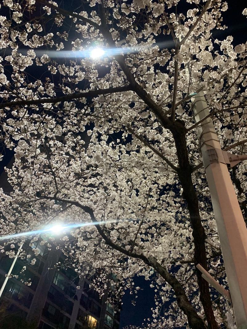 IMG_0801.jpeg
