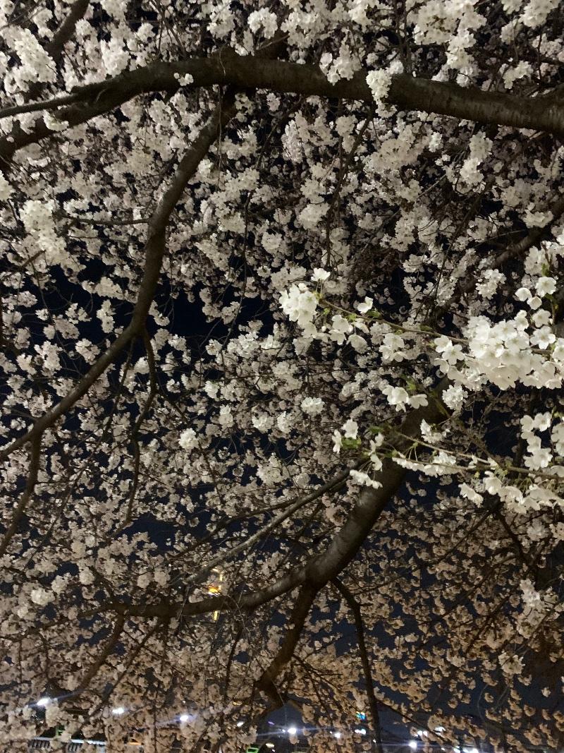 IMG_0804.jpeg